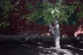 Дом 35 м² на участке 1 сот.