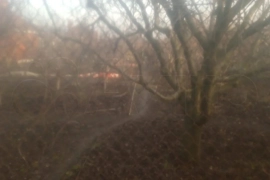 Дом 146 м² на участке 6 сот.