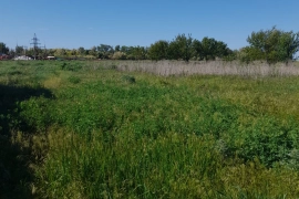 Участок, 25сот.(ИЖС)

