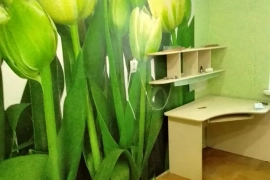 4-к. квартира, 71 м², 5/9 эт.