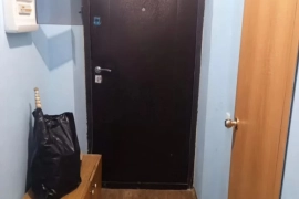 1-к. квартира, 27,9 м², 2/3 эт.