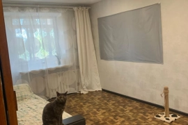 1-к. квартира, 29 м², 
