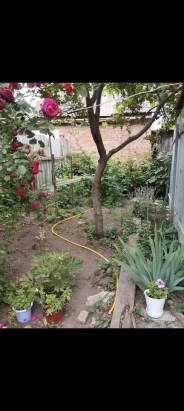 Дом 42 м² на участке 1,8 сот.