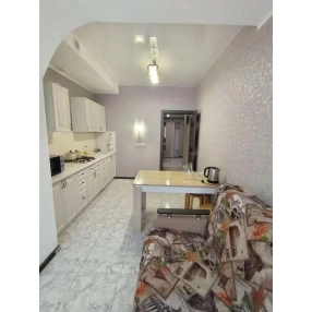 1-к. квартира, 51 м², 2/3 эт.